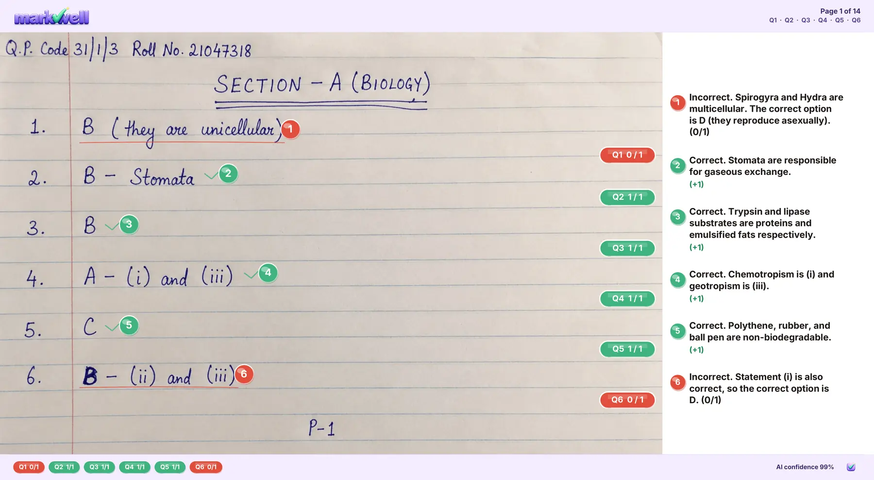 MarkWell output, page 1 of 14: handwritten objective biology answers with numbered green and red mark badges, per-question score pills, and margin comments explaining every mark. AI confidence 99%.